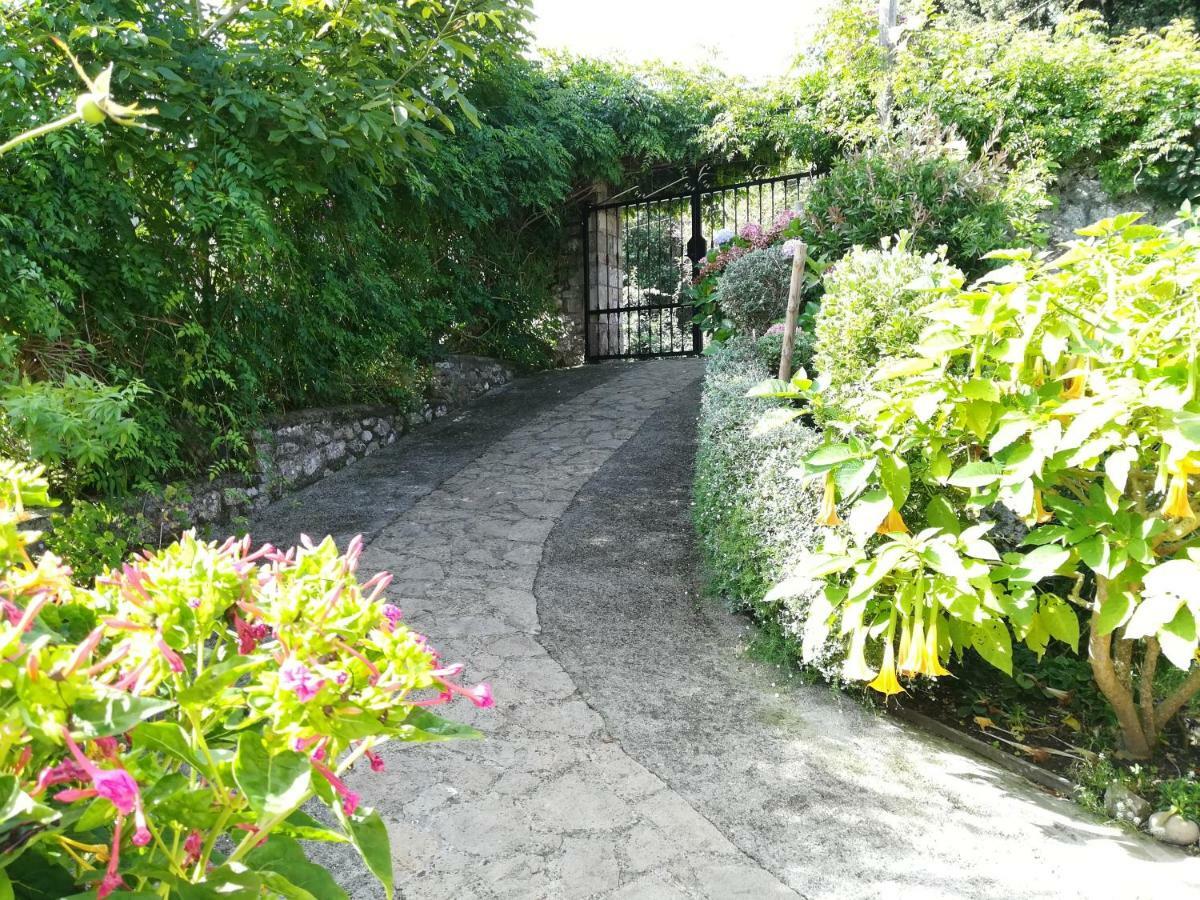 Casa Nueva Carmen Country house Pendueles